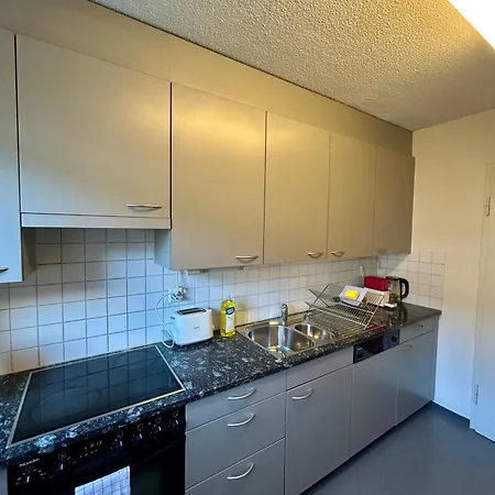 Cozy On Brahmstrasse In Цюрих