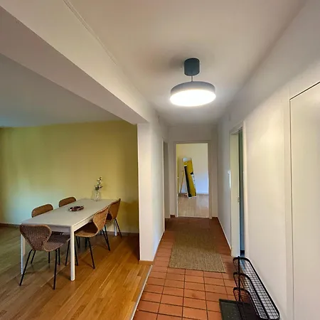Cozy On Brahmstrasse In Apartment Zürich