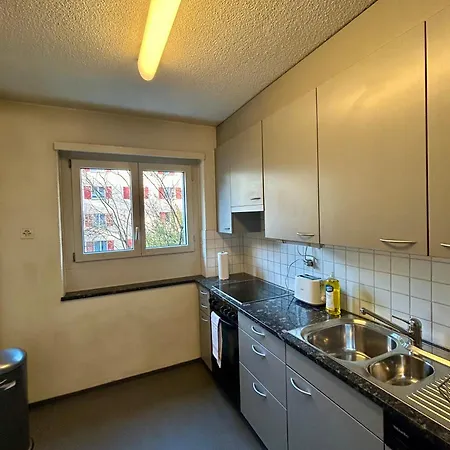 Cozy On Brahmstrasse In Zürich