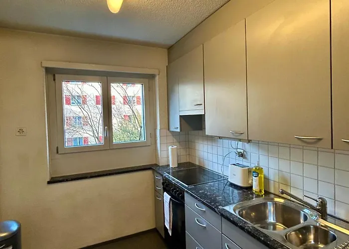 Cozy On Brahmstrasse In Zürih