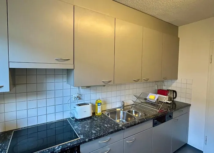 Cozy On Brahmstrasse In Ζυρίχη